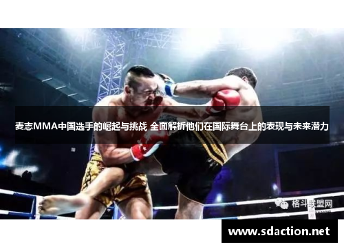 麦志MMA中国选手的崛起与挑战 全面解析他们在国际舞台上的表现与未来潜力